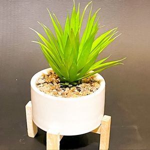 Green&white Fake plant with fake rocks